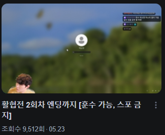 종합 게임 스트리머 따효니의 무협 게임 활협전 플레이 후기.txt | 인스티즈