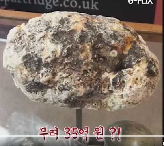 해안가 갔을때 유심히 잘 살펴봐야하는 이유 | 인스티즈