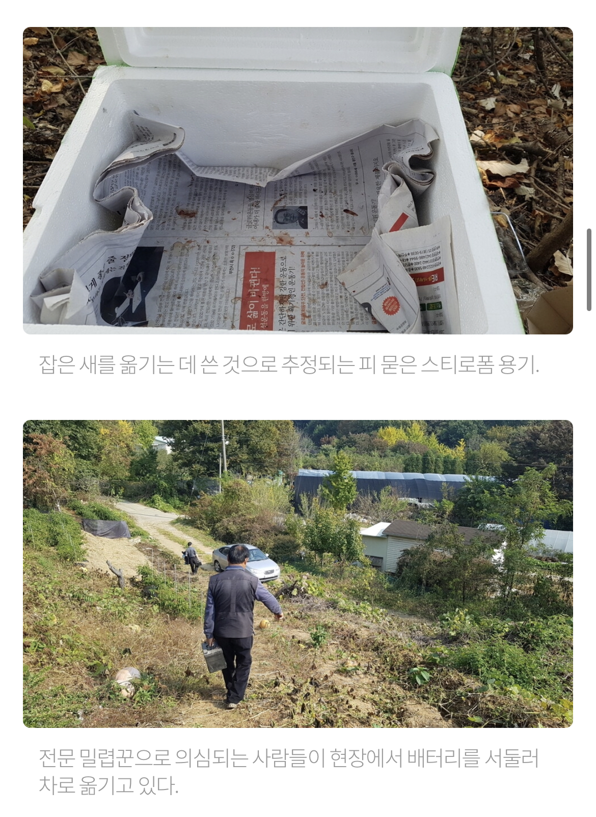 최근 남양주에서 참새고기로 1000여마리 산새들을 밀렵하는 현장 발견. 밀렵과 남획, 농약 살포, 서식지교란으로 산새들 점점 사라져 | 인스티즈