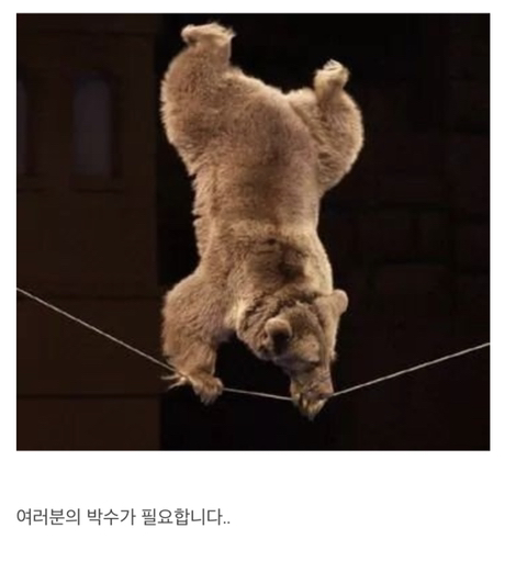 곰을 꺼꾸로하면? | 인스티즈