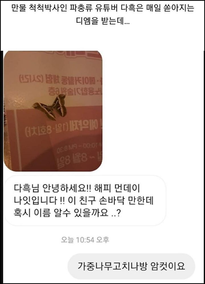 모르는게 없는 유튜버ㅋㅋㅋㅋㅋㅋ.jpg | 인스티즈