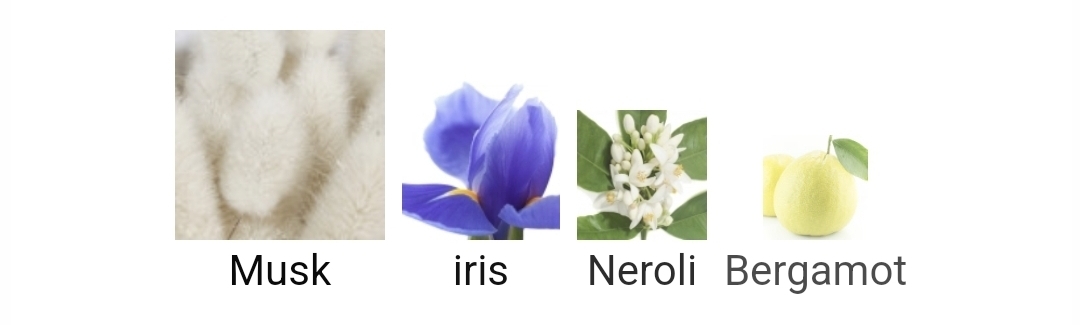 가을겨울에 쓰기 좋은 머스크 노트 향수들.jpg | 인스티즈