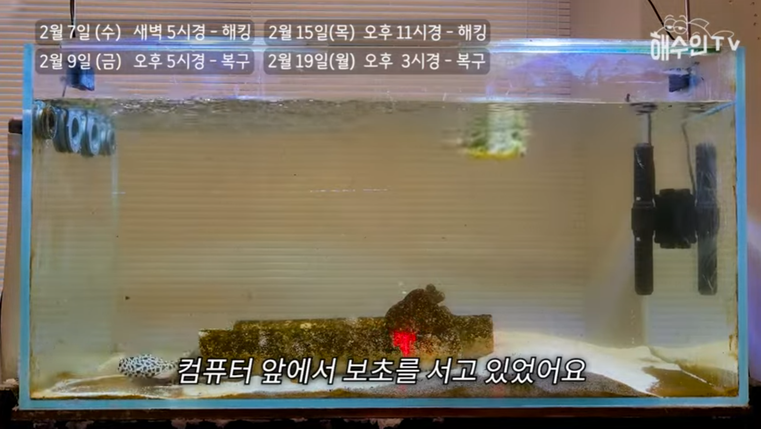 유튜브 계정이 3번이나 해킹 당한 이유 | 인스티즈