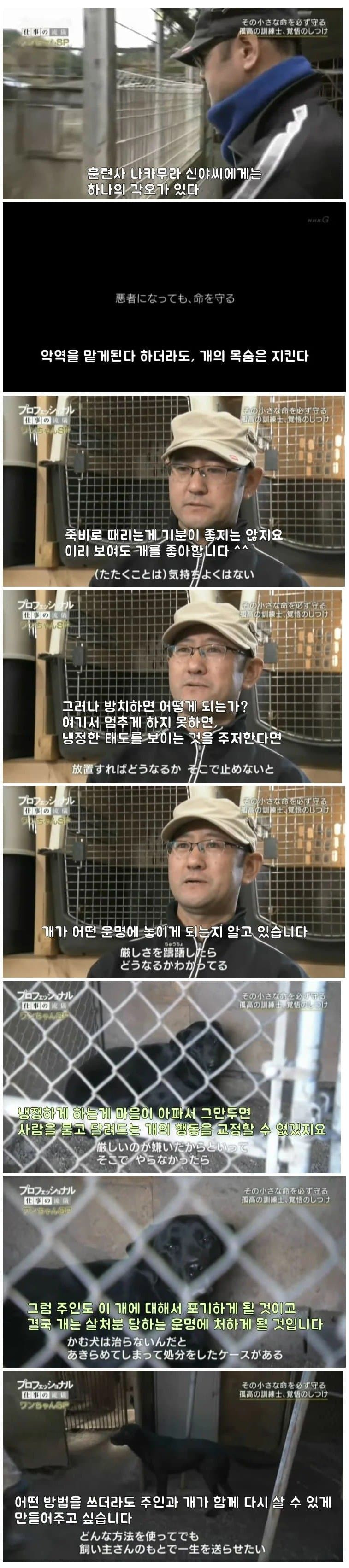 일본판 강아지 교육 1타강사 | 인스티즈