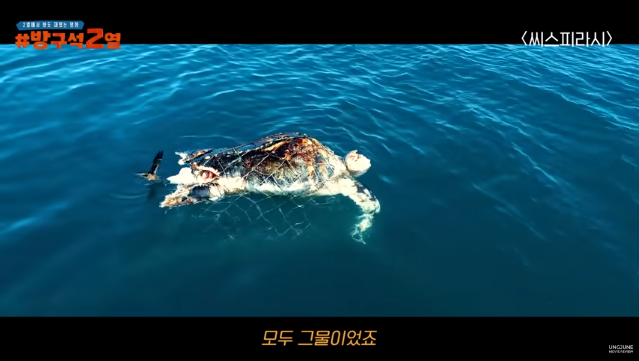 종이빨대는 정말 바다오염을 줄일 수 있는가? (바다오염의 진실 / 넥플리스 씨스피라시) | 인스티즈