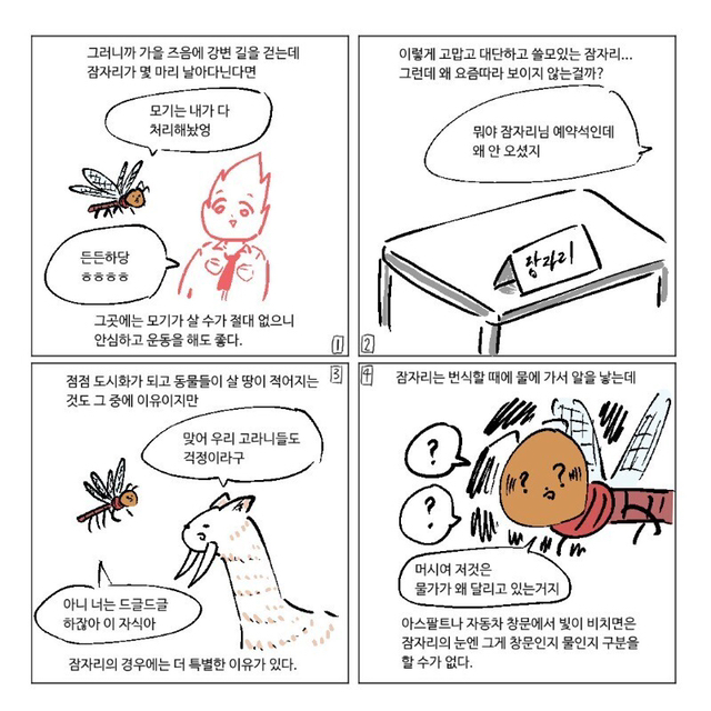 잠자리가 줄어드는 이유.jpg | 인스티즈