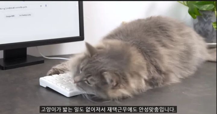 스압) 구글에서 만든 키보드.jpg | 인스티즈