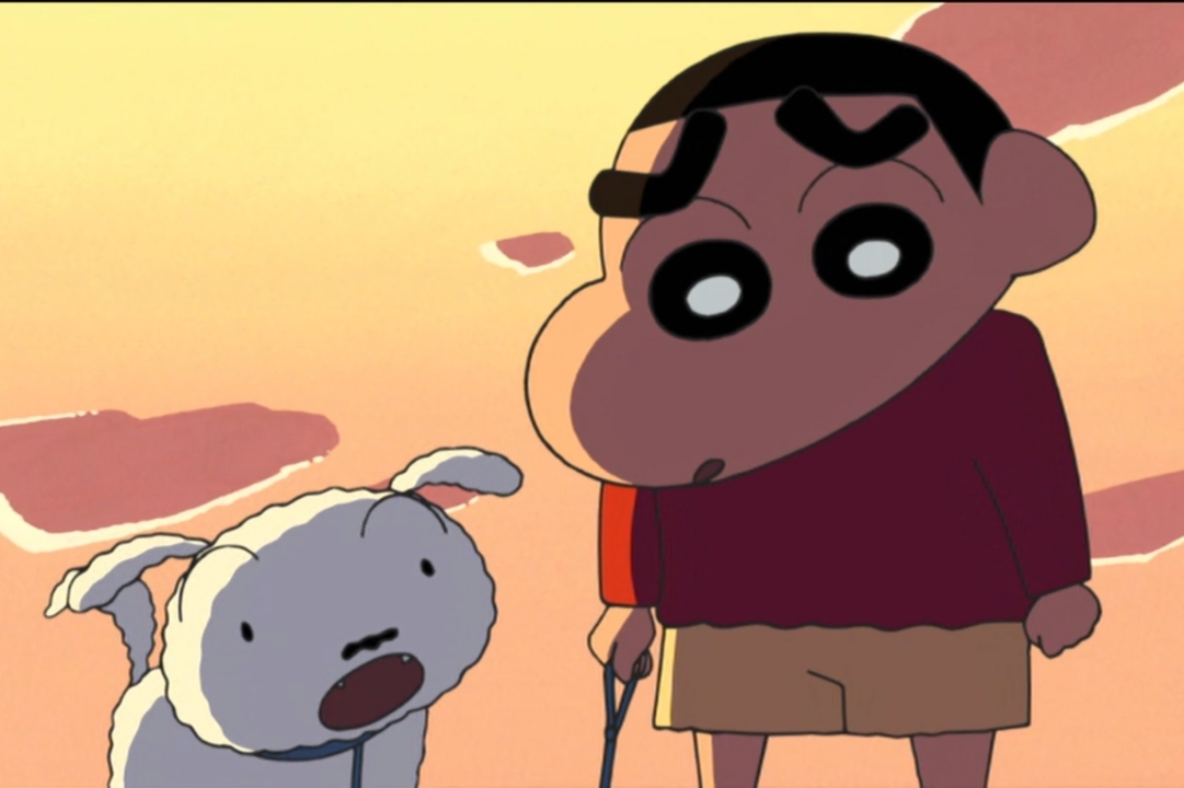 흰둥이 이미지