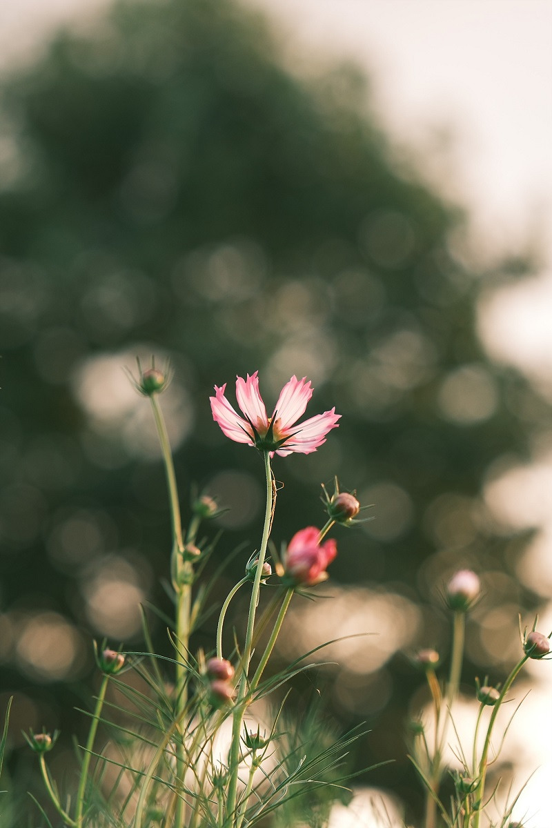 후지필름 카메라로 담아본 일상 스냅사진 (4) - 웃긴자료 ‥‥‥‥‥、 - 도탁스 (DOTAX)