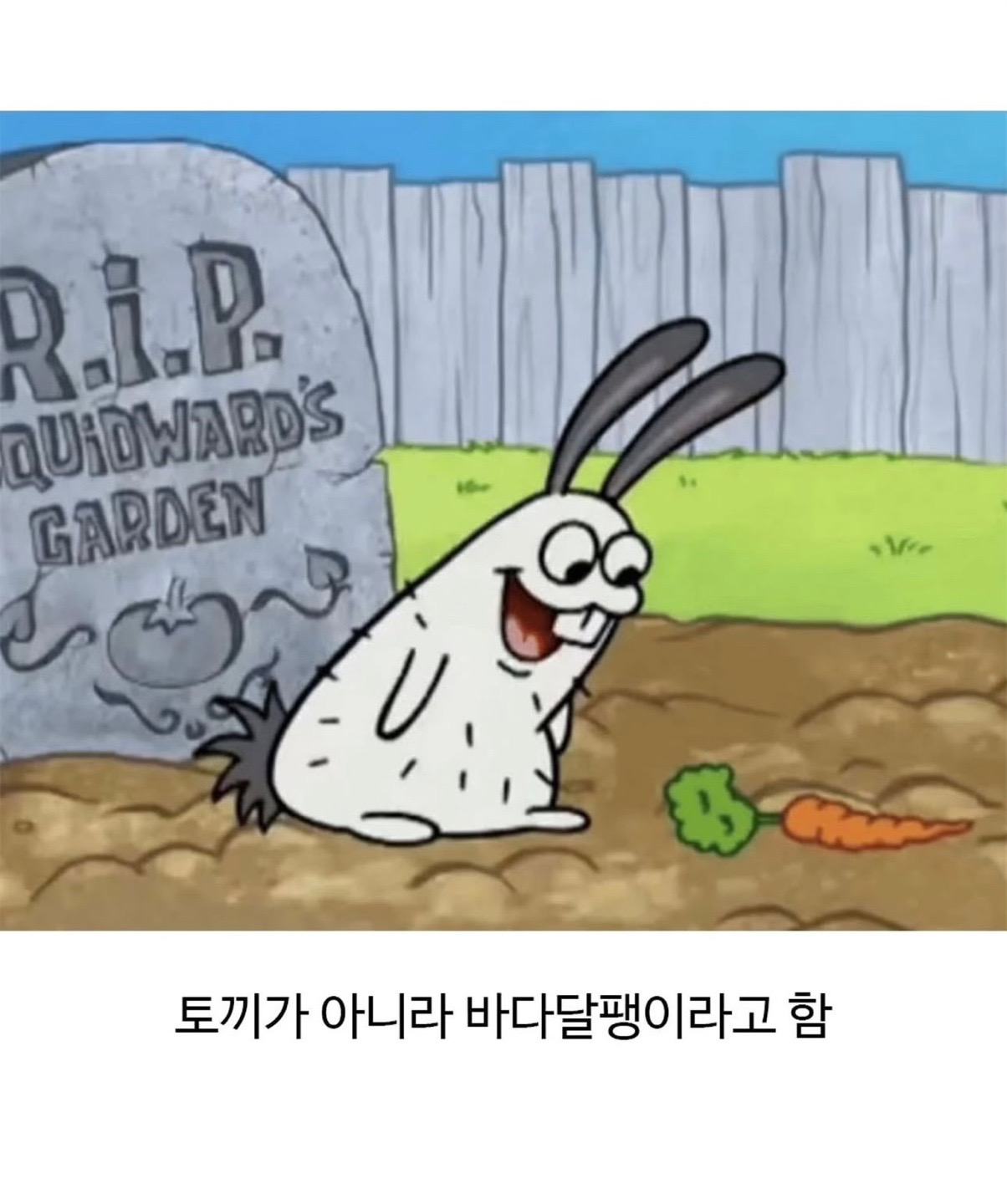 스폰지밥에 의외로 실존한다는 생물 | 인스티즈