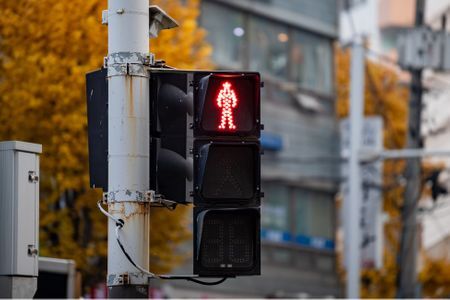 길에서 이거 보고 섰다고 하는 사진 | 인스티즈