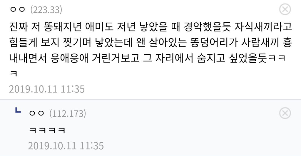 고소걱정없이 지르는 매콤한 댓글들 | 인스티즈
