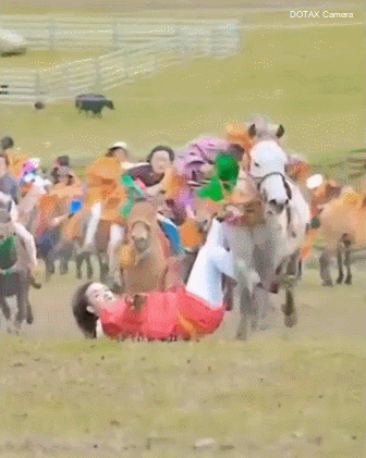 낙마한거 아닌 승마 기술 | 인스티즈