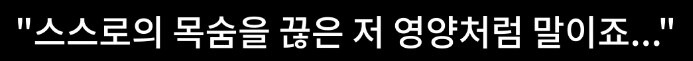 인간외에 자살을 선택하는 동물이 있을까? | 인스티즈