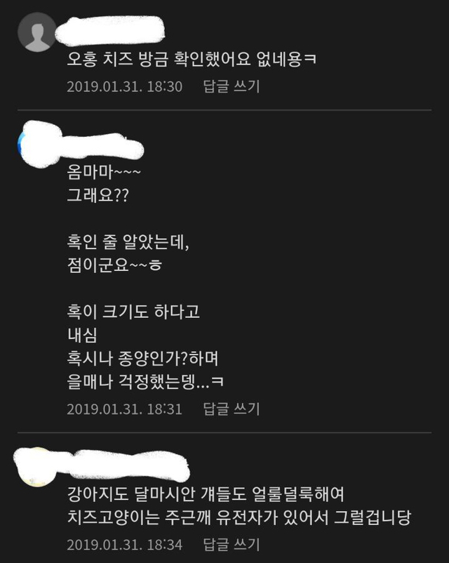 고양이는 입 안에도 얼룩무늬 있음.jpg | 인스티즈
