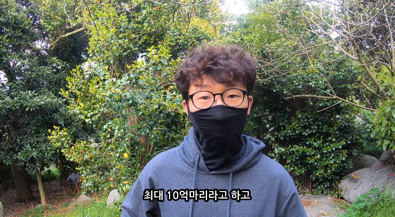 일부 몰지각한 캣맘들은 이 악물고 모른척하는 내용.jpg | 인스티즈