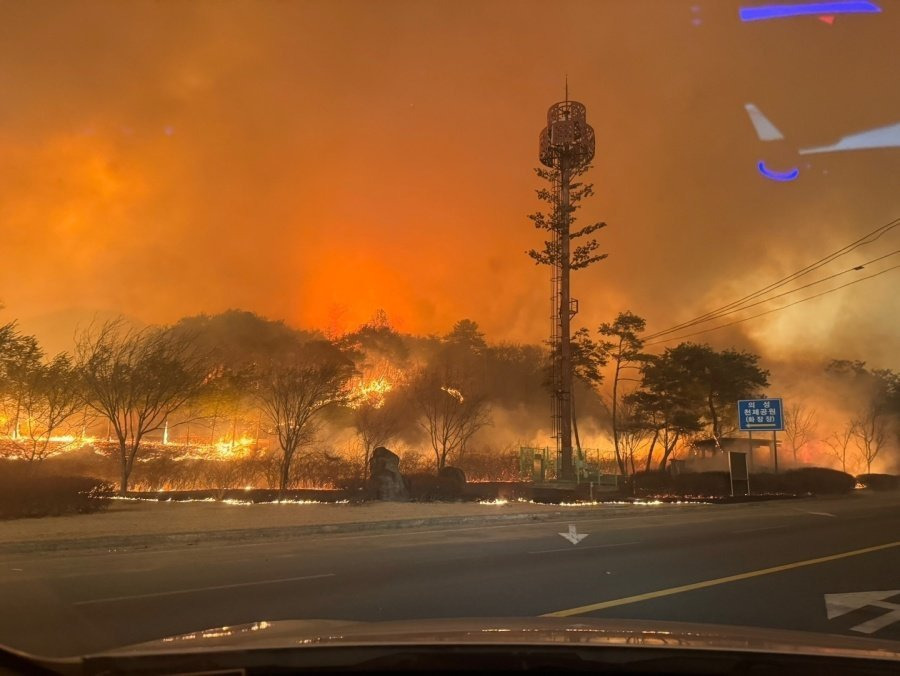 오늘 일어난 산불들 현재까지 밝혀진 원인 정리 | 인스티즈