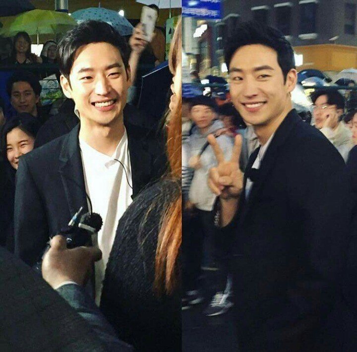 성형외과의사들이 성형으로도 못만든다고 말한 연예인 콧대 | 인스티즈