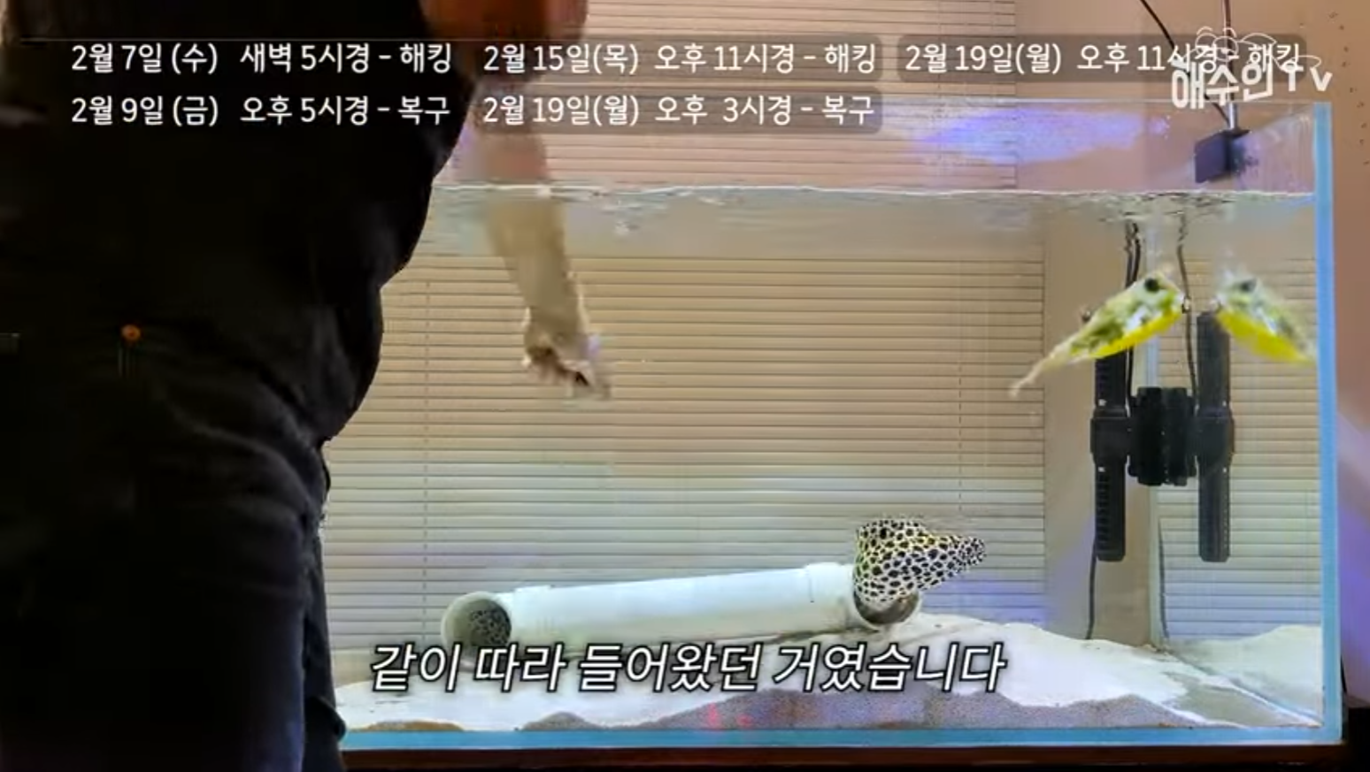 유튜브 계정이 3번이나 해킹 당한 이유 | 인스티즈