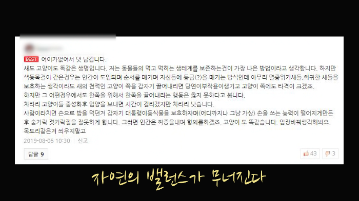 [사진100장스압] 고양이가 자연생태계에 끼치는 심각한 영향 | 인스티즈