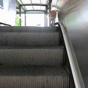 운동하는 고양이 .gif | 인스티즈