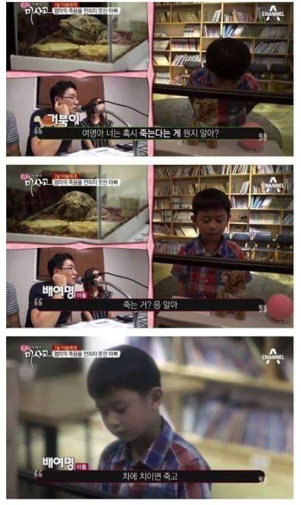 (진짜 너무 슬픔, 눈물 흘릴 각오 필수) 엄마의 죽음을 받아들이는 아이 | 인스티즈