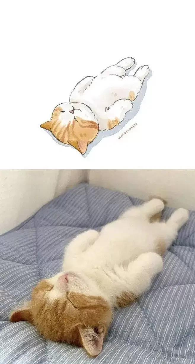 커여운 고양이 그림 | 인스티즈