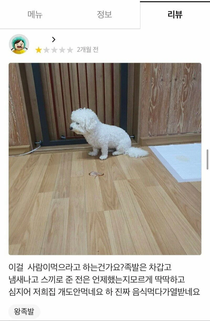 개도 안 먹는다는 족발 리뷰 | 인스티즈