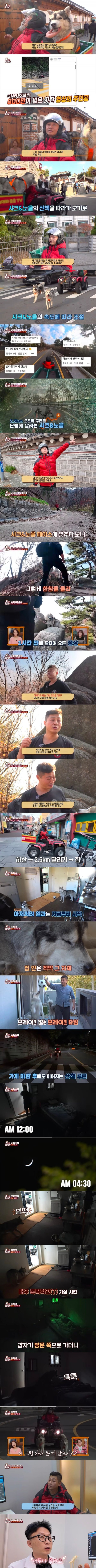 학대 논란이 있는 허스키 견주 | 인스티즈