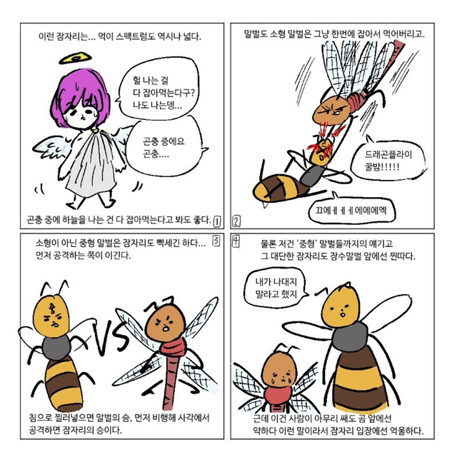 잠자리가 줄어드는 이유.jpg | 인스티즈