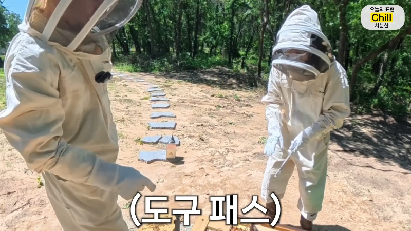 양봉 시작한 올리버쌤 근황.jpg | 인스티즈