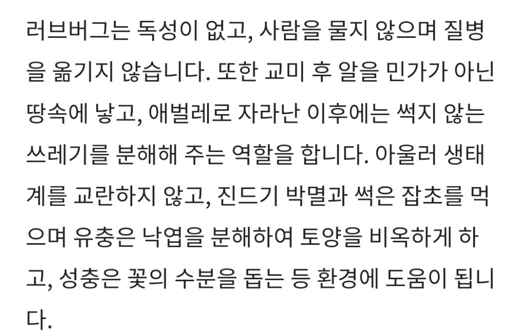 리빙포인트)러브버그는 익충이다 | 인스티즈