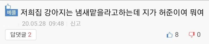 반려동물이 화장실에 따라 들어오는 이유.jpg | 인스티즈