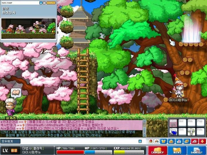 옛날 메이플스토리 추억의 희귀템들 - 1 | 인스티즈