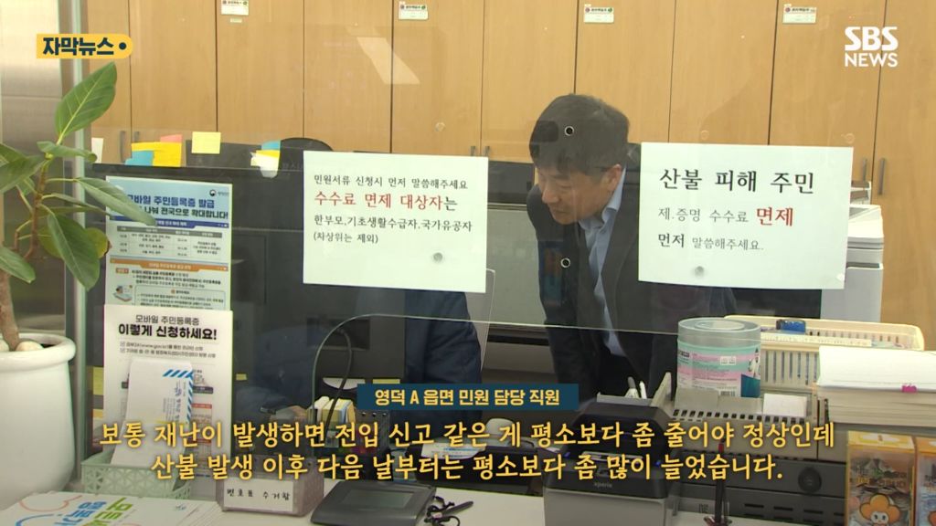 산불 이후 인구가 늘어난 안동 | 인스티즈