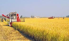 한국 장바구니 물가가 외국에 비해 비싼 이유.JPG | 인스티즈