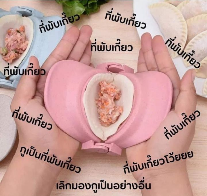 외국 만두 만드는 기구 | 인스티즈