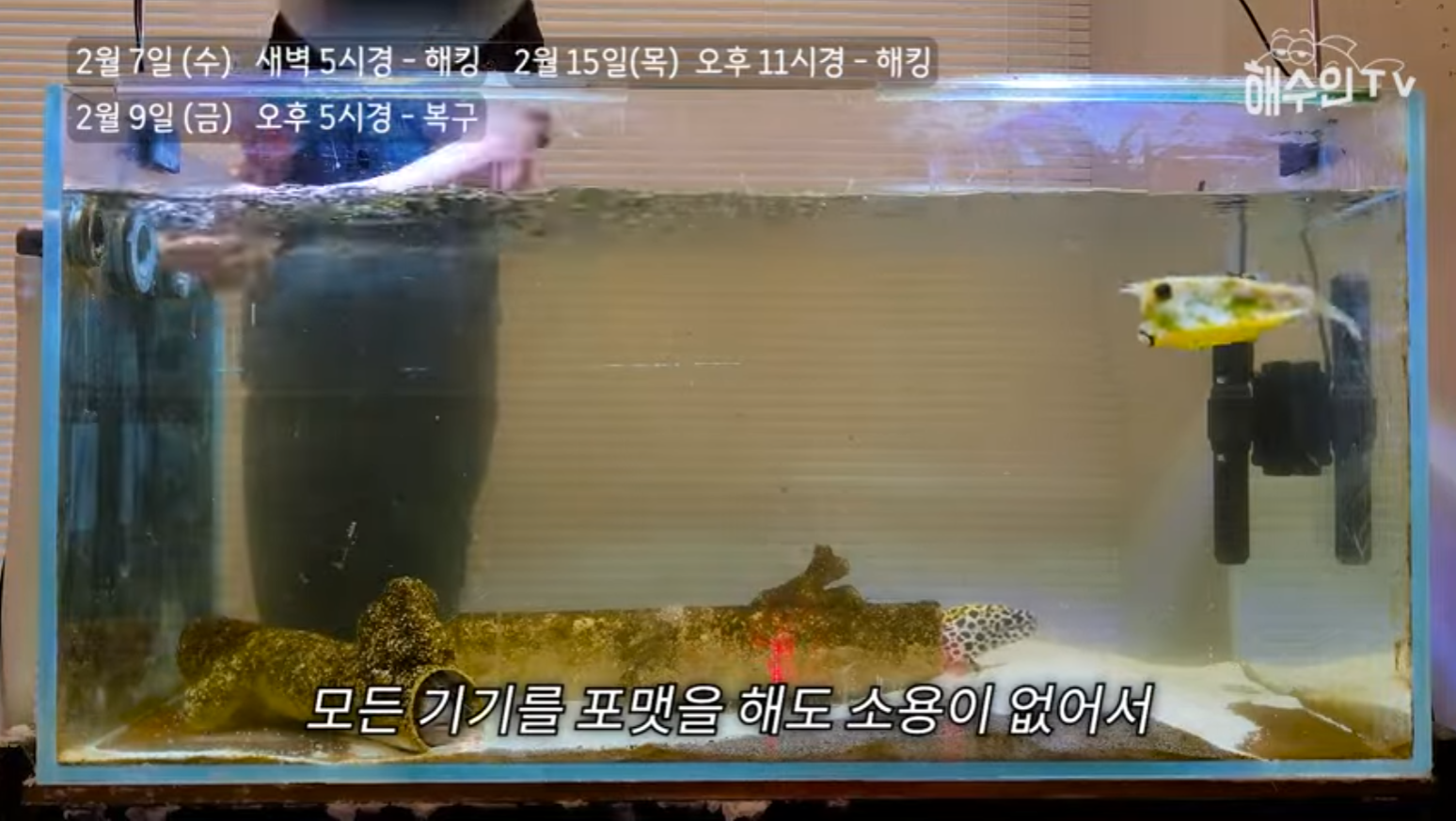 유튜브 계정이 3번이나 해킹 당한 이유 | 인스티즈