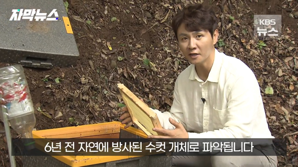 스압)지리산 반달가슴곰, 양봉 농가 꿀 빼먹었다 | 인스티즈