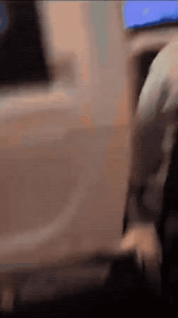 비행기가 흔들리는 이유 | 인스티즈