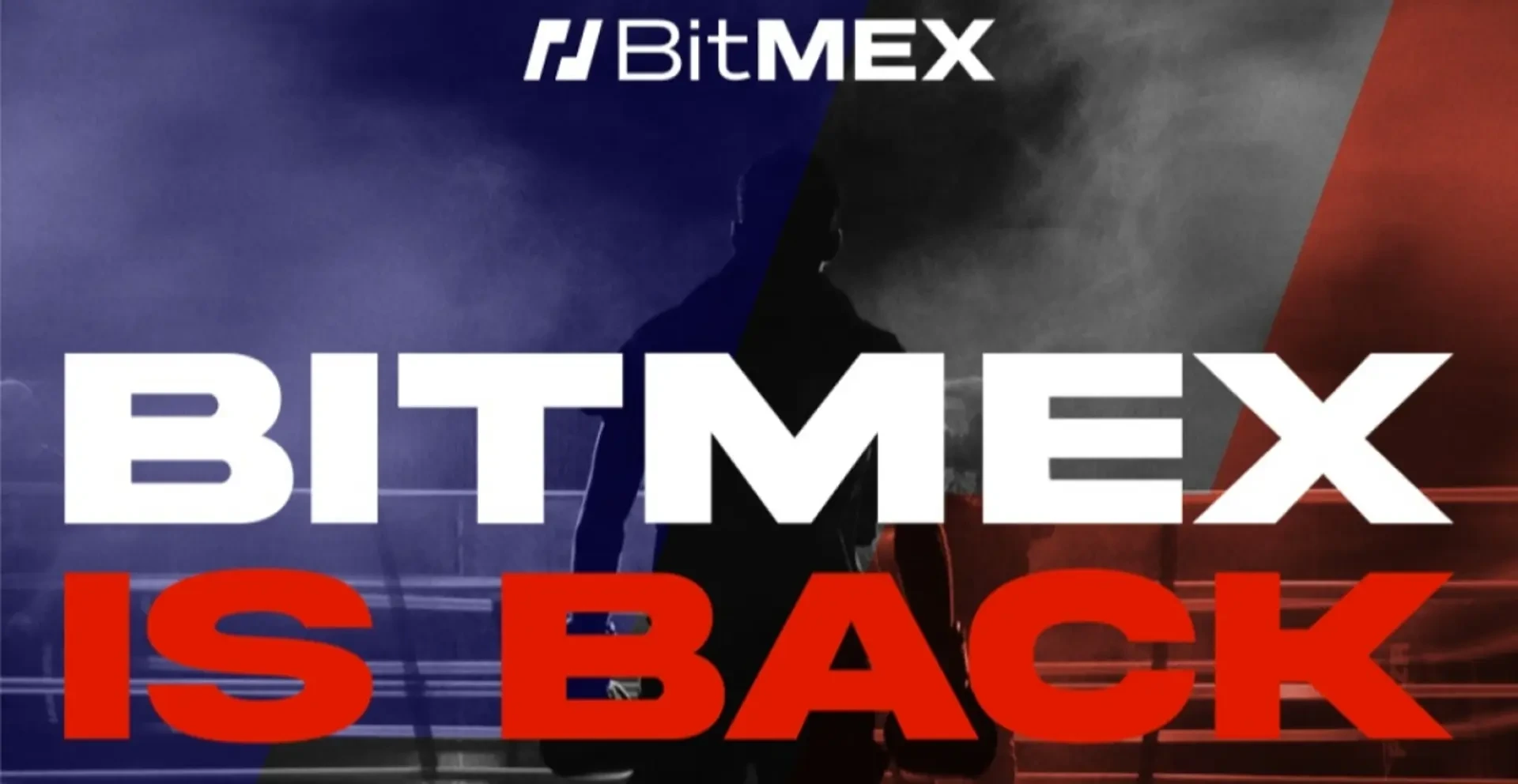 코인으로 600만 원에서 3800억 번 워뇨띠 인터뷰 전문 - 웃긴자료 ‥‥‥‥‥、 - 도탁스 (DOTAX)