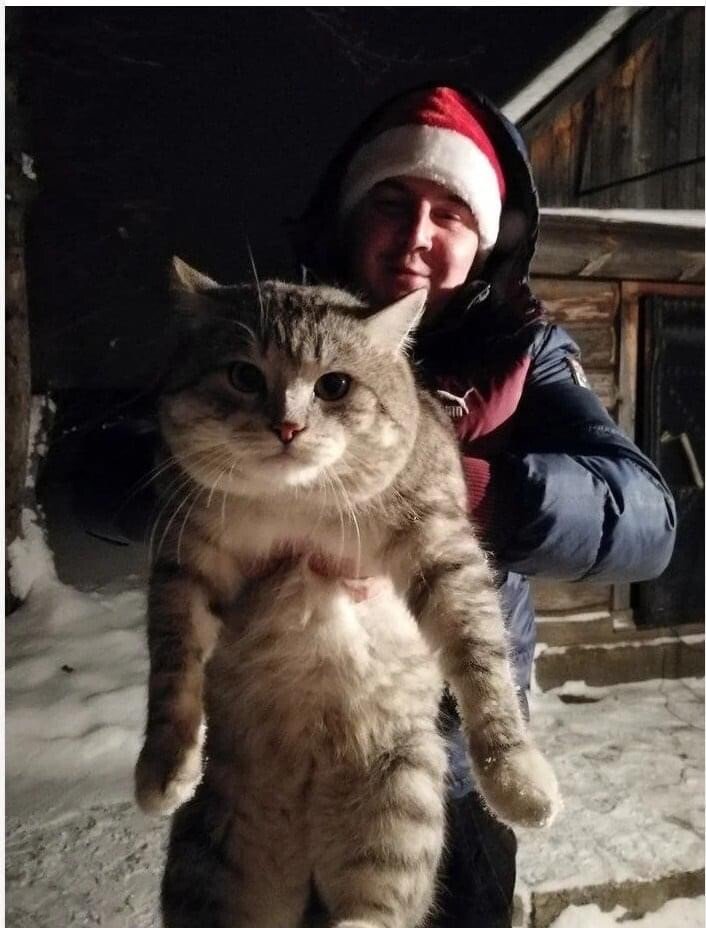 불곰국에서 길냥이 주운 후기.jpg | 인스티즈