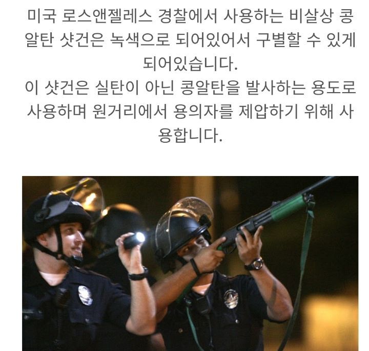 핏불이 사람 위협..빈백 샷건 갈겨버린 미국 경찰 | 인스티즈