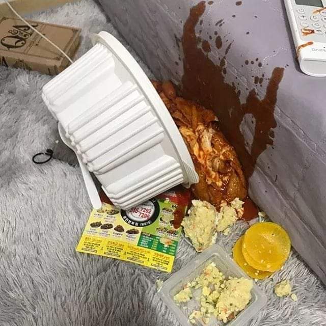 보는순간 멘붕오는사진 | 인스티즈