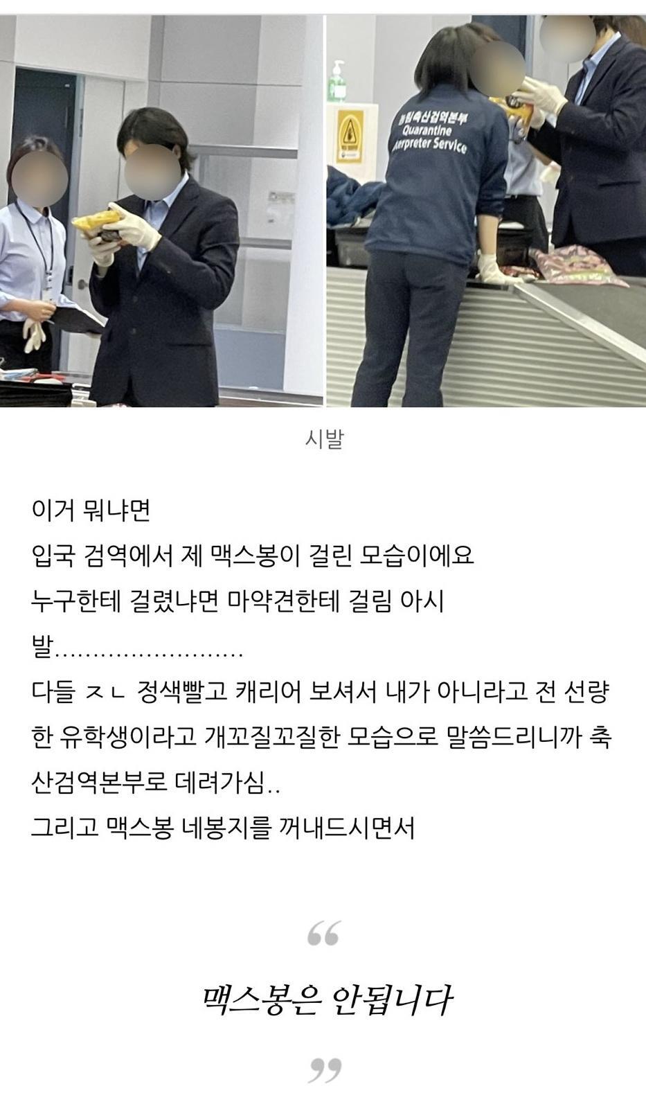 공항 마약탐지견에게 걸린썰 | 인스티즈