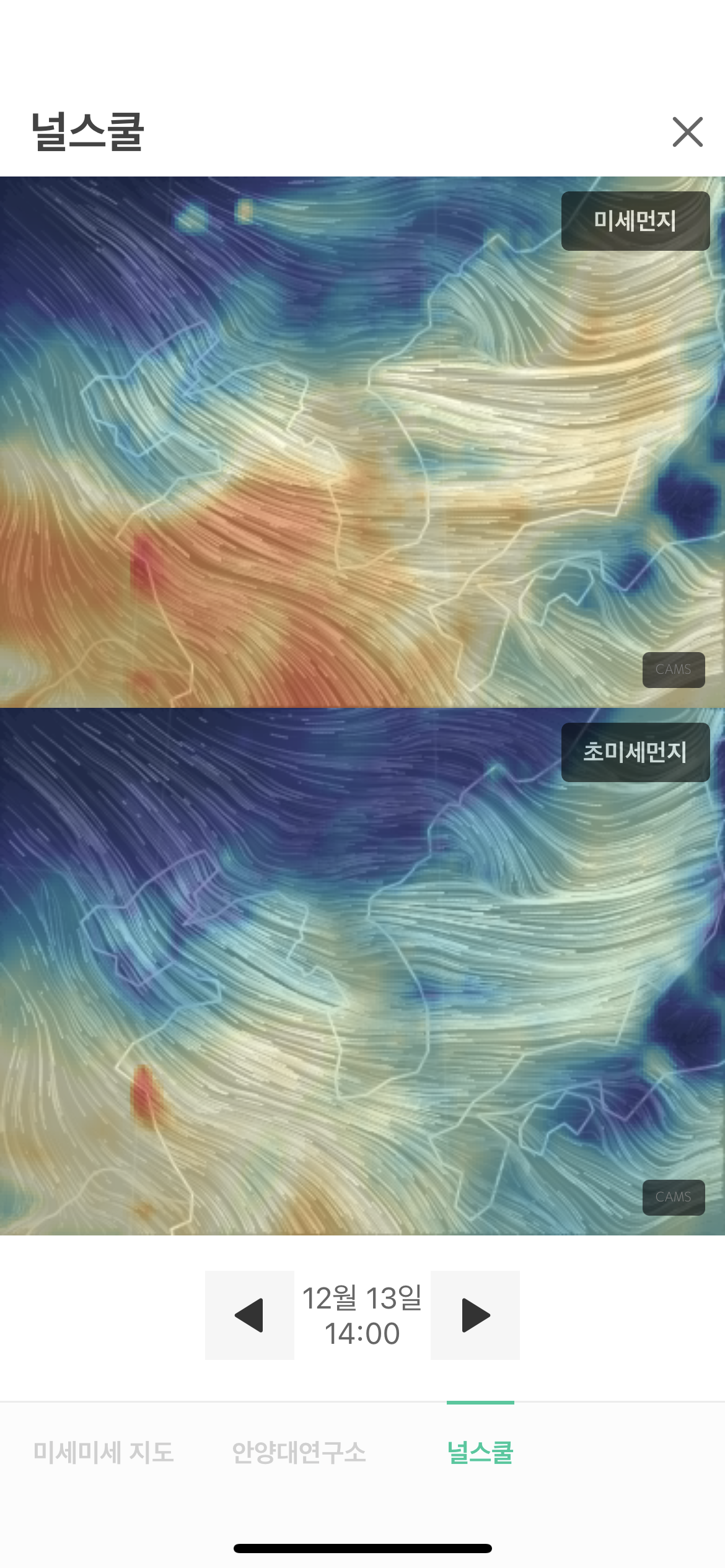 이 시각 미세먼지 feat 고등어 | 인스티즈