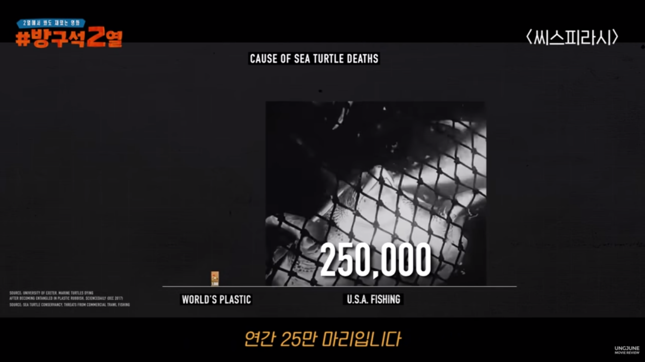 종이빨대는 정말 바다오염을 줄일 수 있는가? (바다오염의 진실 / 넥플리스 씨스피라시) | 인스티즈