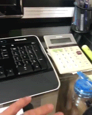 주인 일 못하게 하는 댕댕이들.gif | 인스티즈