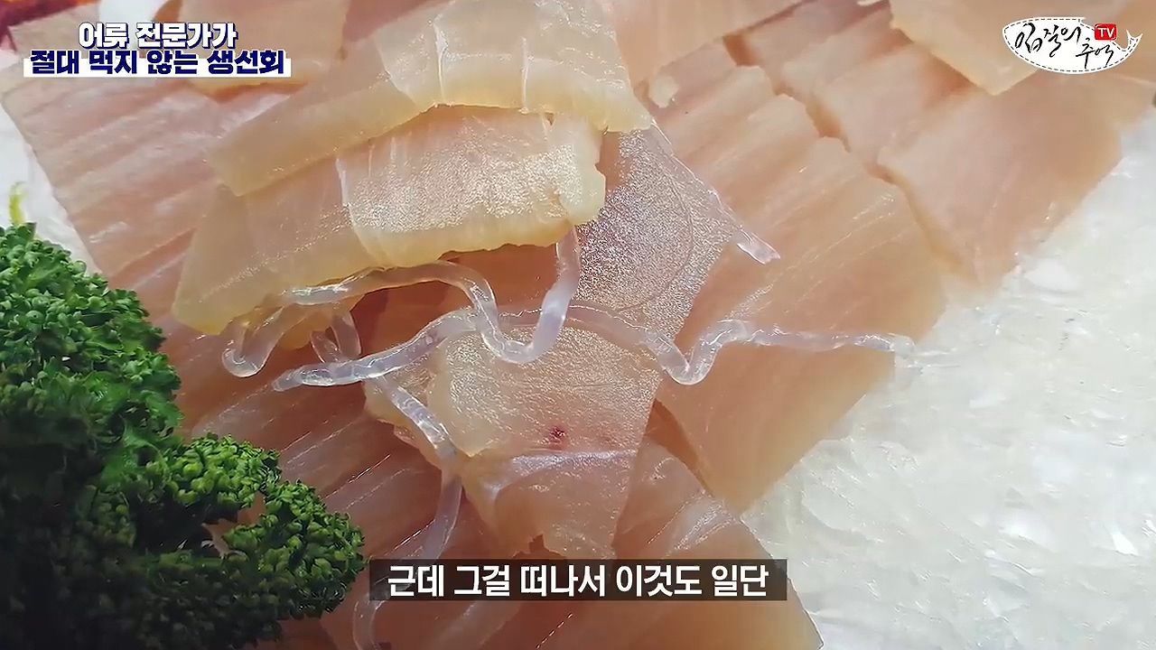 어류 전문가가 꼽은 절대 먹지 않는 생선회 7개 | 인스티즈