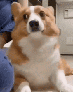 잘 모르는 인간이 날 안아준다.gif | 인스티즈